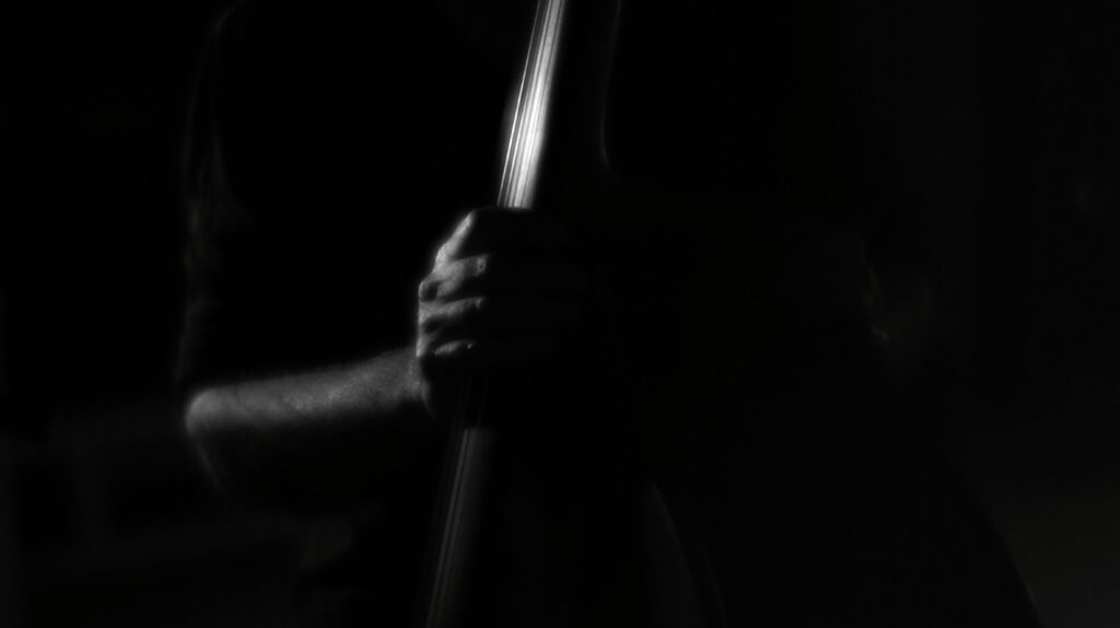 Mingus Erectus