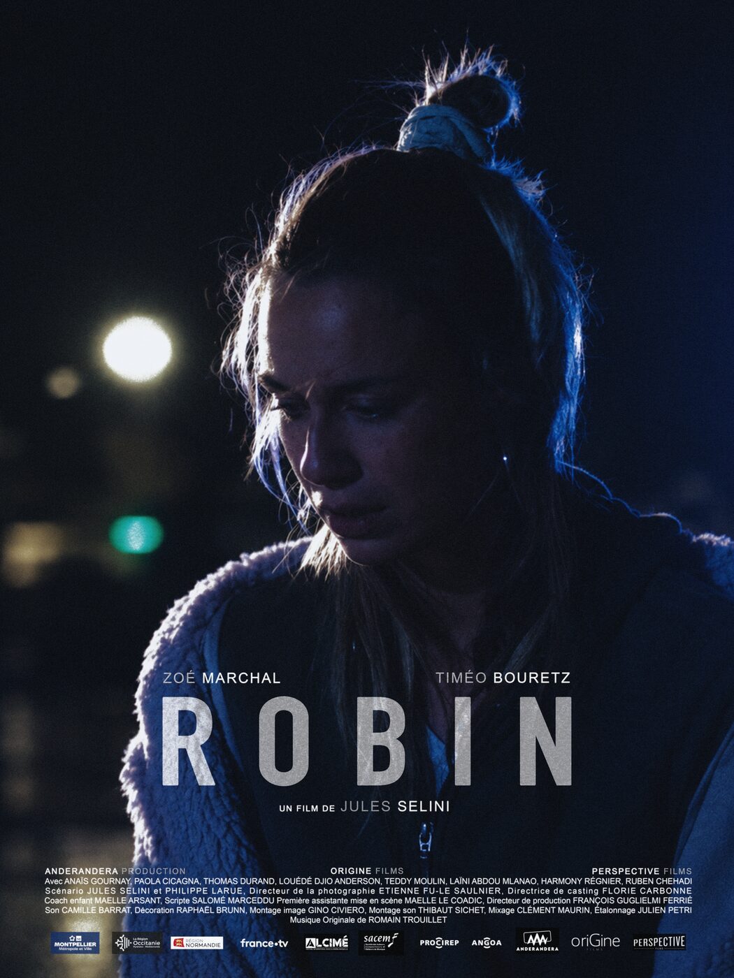 Affiche du film ROBIN